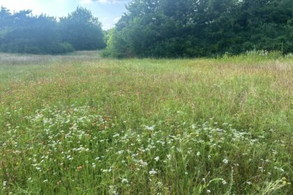 Spring Creek Forest prairie 1787 Holford
