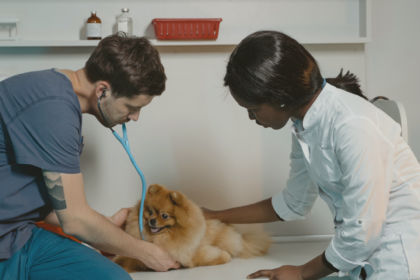 Image of a vet clinic